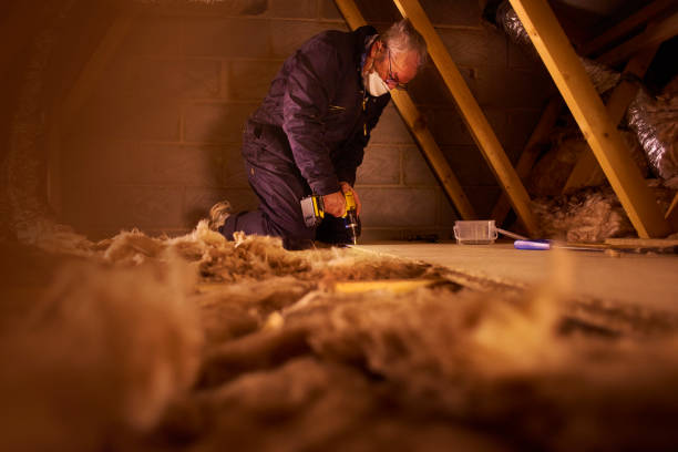 Best Eco-Friendly Insulation in Great Neck Estates, NY